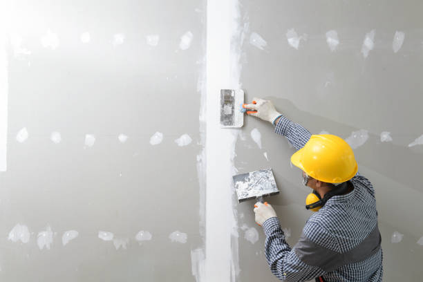  San Juan, TX Mold Removal Pros
