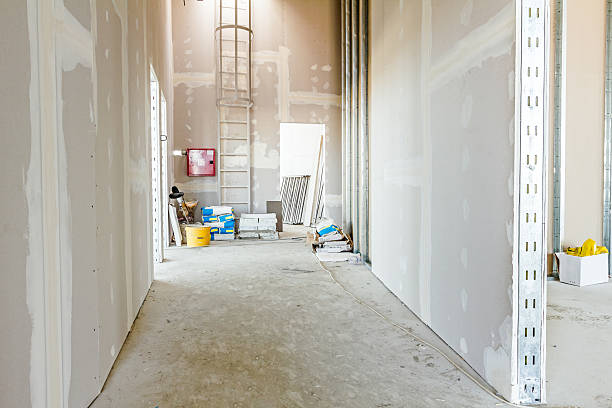 Best Environmental Consulting for Mold Prevention  in San Juan, TX