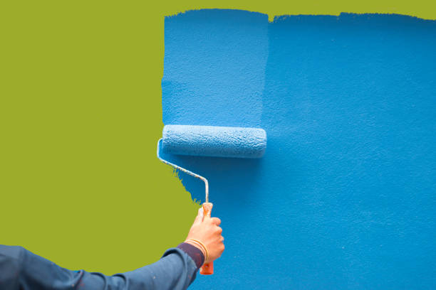 Best Commercial Mold Inspection  in San Juan, TX