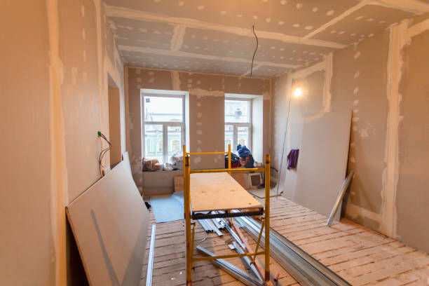 Reliable San Juan, TX Mold Removal Solutions