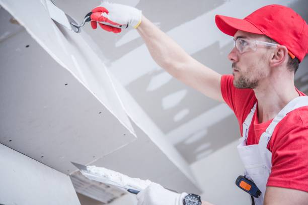 Best Mold Damage Restoration  in San Juan, TX