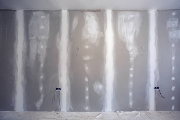 Best Commercial Mold Inspection  in San Juan, TX